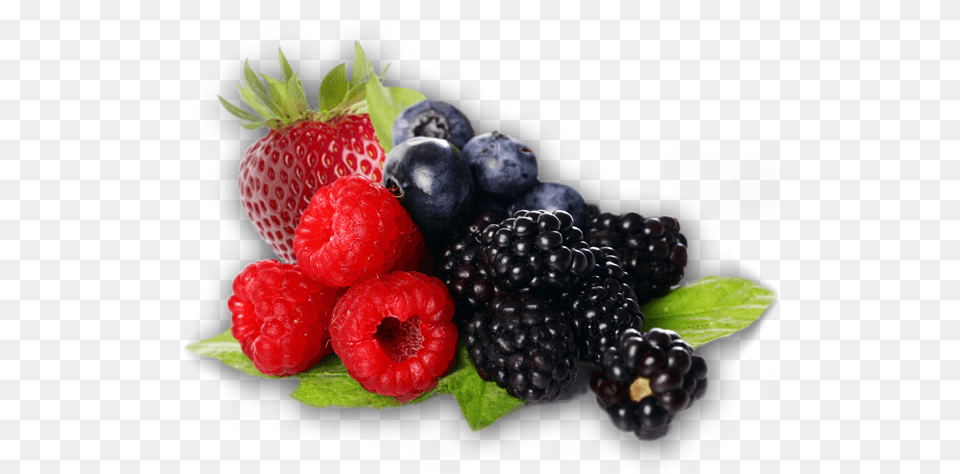 Bramble Background Berries, Raspberry, Produce, Plant, Fruit Free Transparent Png