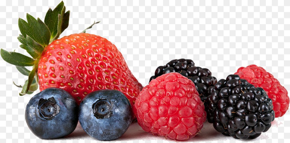 Bramble Berries Background, Berry, Blueberry, Food, Fruit Free Png Download