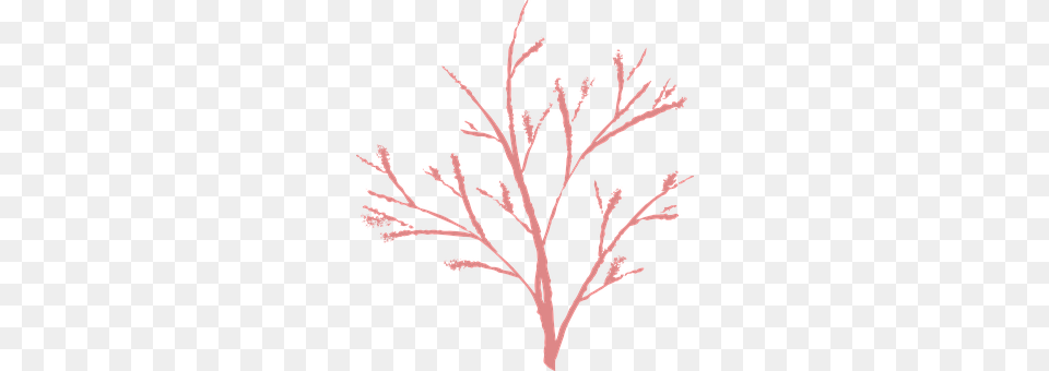Branch Art, Pattern, Plant, Tree Png Image
