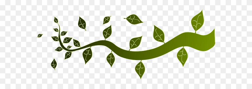 Branch Green, Leaf, Plant, Animal Free Png