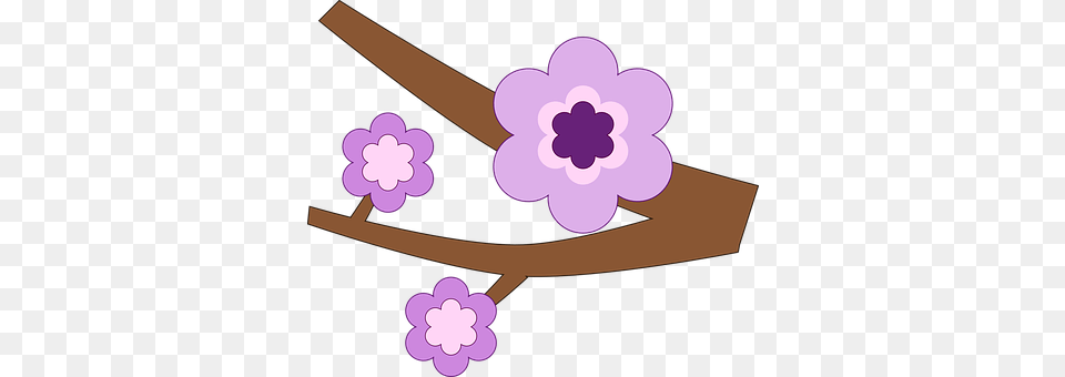 Branch Accessories, Flower, Plant, Purple Free Png Download