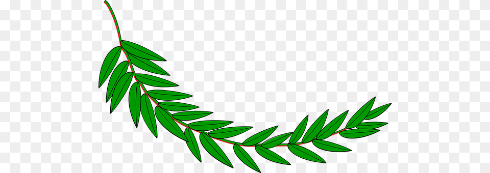 Branch Leaf, Tree, Plant, Green Free Png