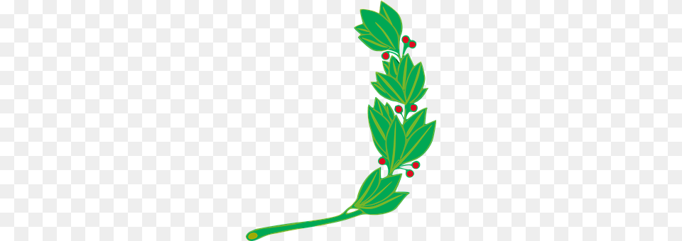 Branch Bud, Flower, Grass, Herbal Png Image
