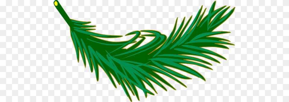 Branch Plant, Tree, Grass, Green Png