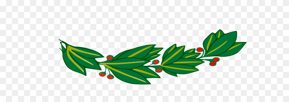 Branch Pattern, Leaf, Plant, Green Free Transparent Png