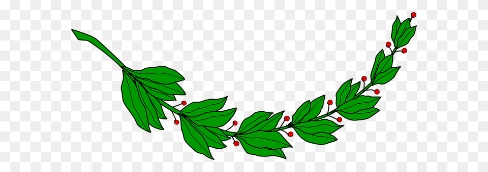 Branch Green, Leaf, Plant, Pattern Png
