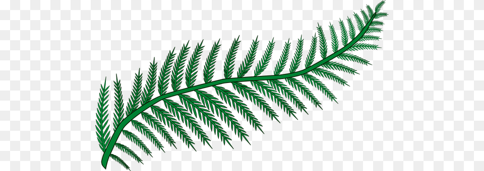 Branch Fern, Pattern, Plant, Leaf Free Png