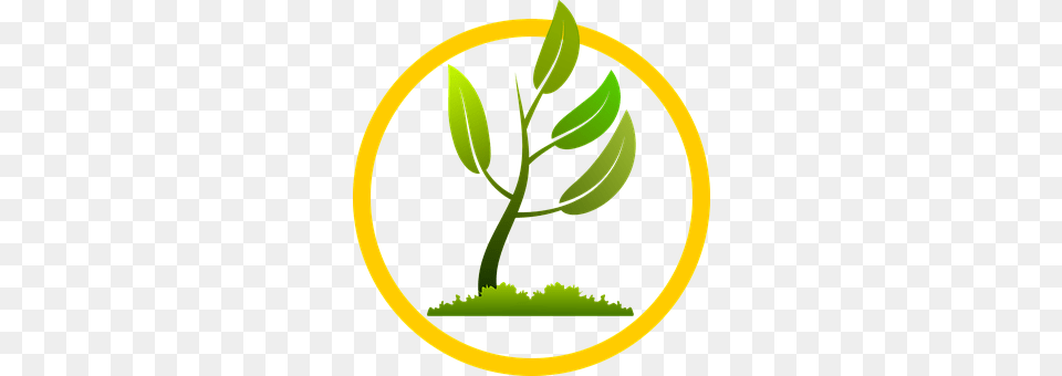 Branch Herbal, Herbs, Leaf, Plant Free Png Download