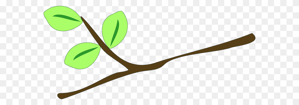 Branch Plant, Leaf, Herbs, Bud Free Transparent Png