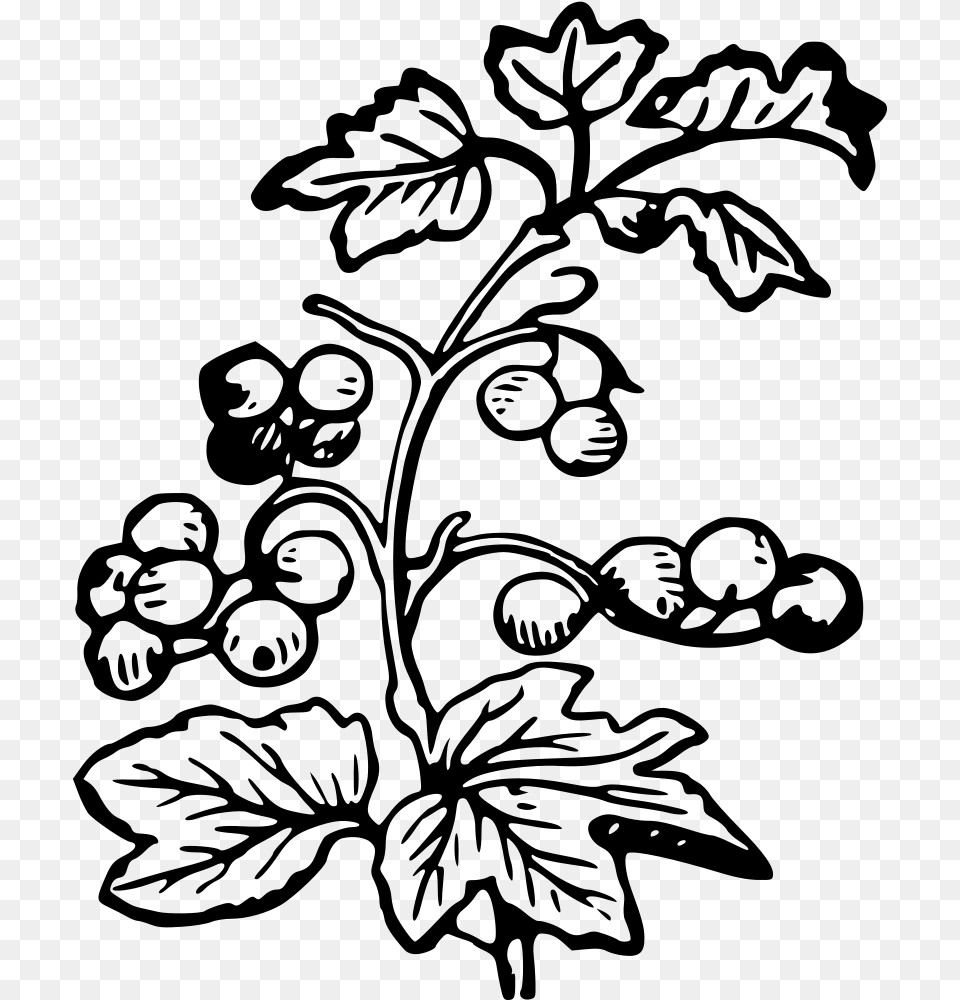 Branch And Berries Berries Black And White, Gray Free Png Download