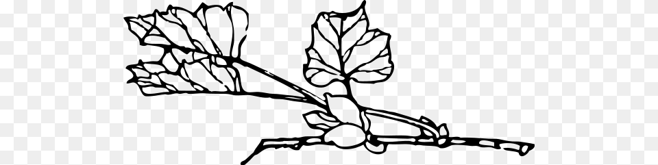 Branch And Berries Clipart For Web, Gray Free Transparent Png