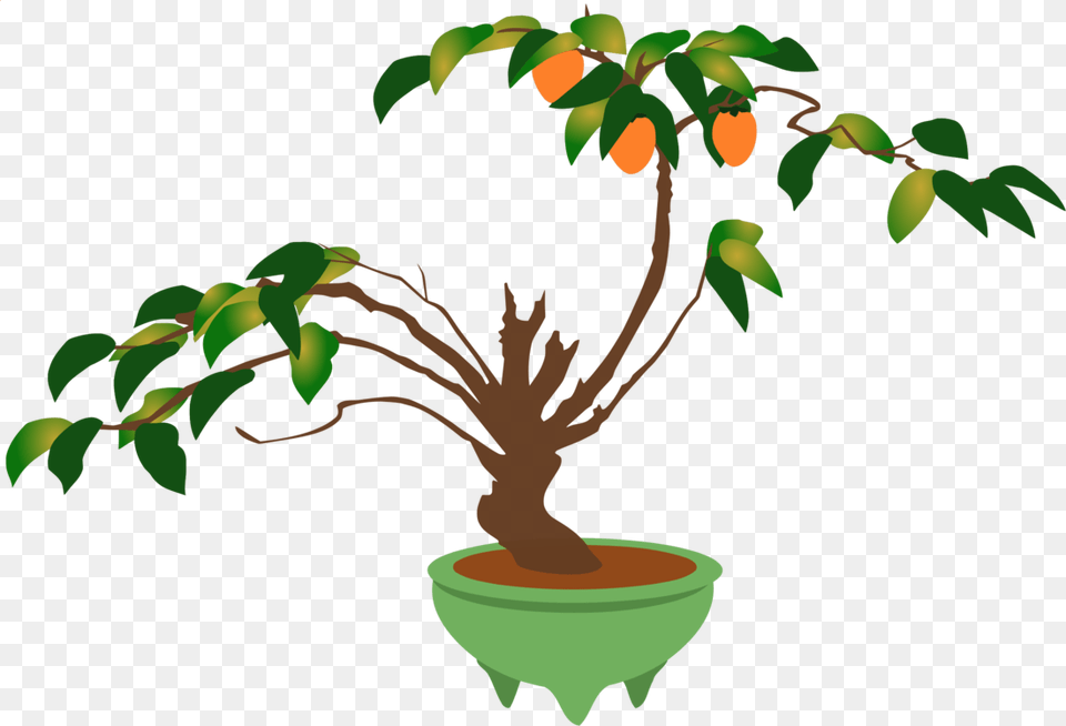 Branch Bonsai Flowerpot Ornamental Plant Houseplant, Leaf, Potted Plant, Tree, Food Free Png