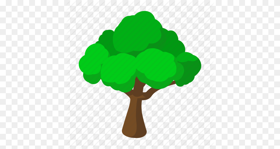 Branch Cartoon Decoration Nature Tree Trunk Wood Icon, Green, Plant, Potted Plant, Food Png Image