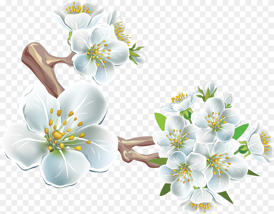 Branch Clip Art Spring Flowers Download Cherry Blossom, Anther, Flower, Plant, Pollen Free Transparent Png