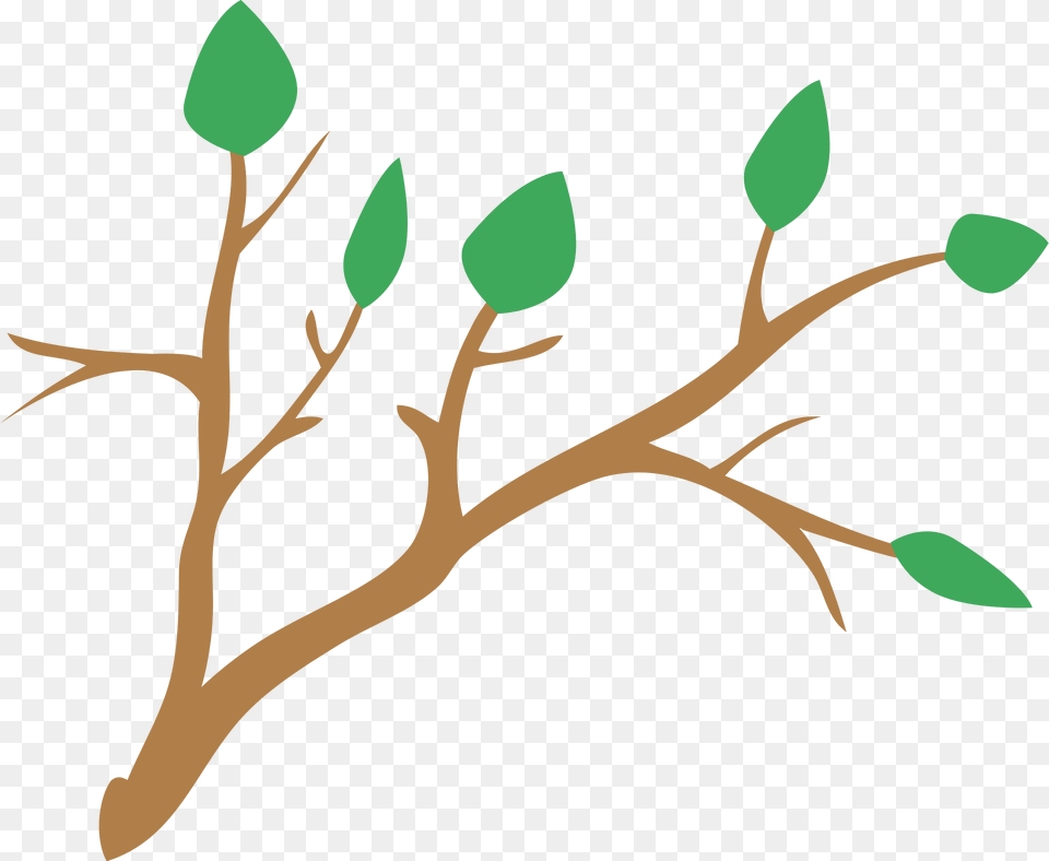 Branch Clipart, Leaf, Plant, Art, Flower Free Png