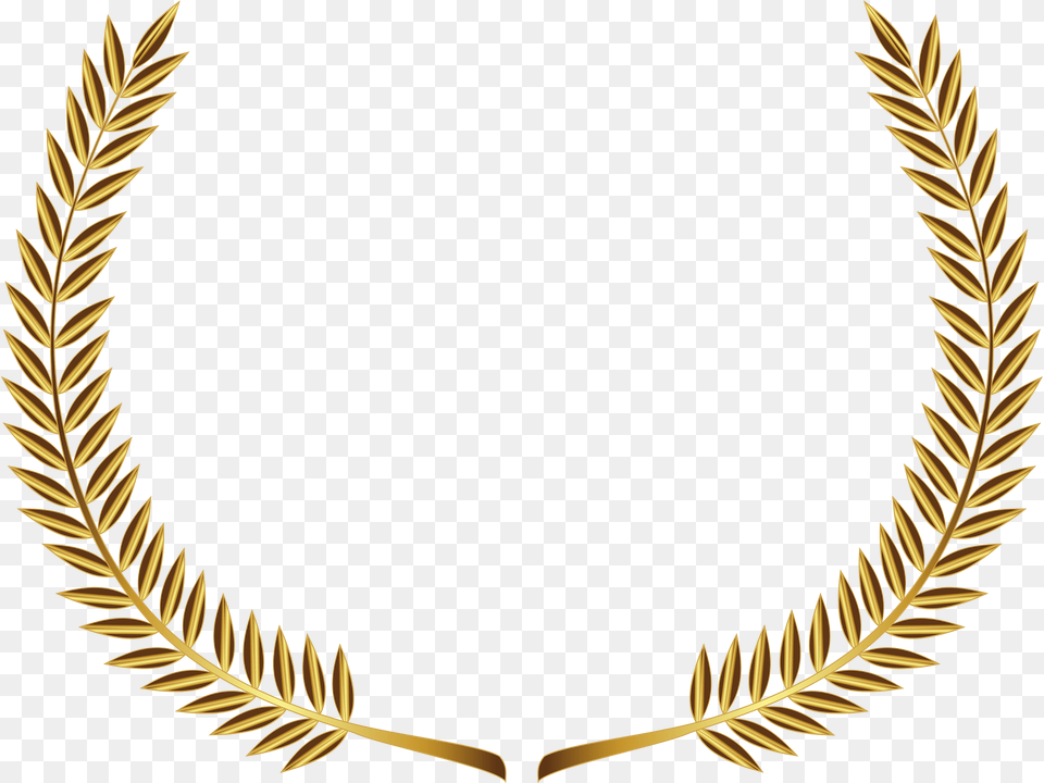 Branch Clipart, Grass, Plant, Pattern Png Image