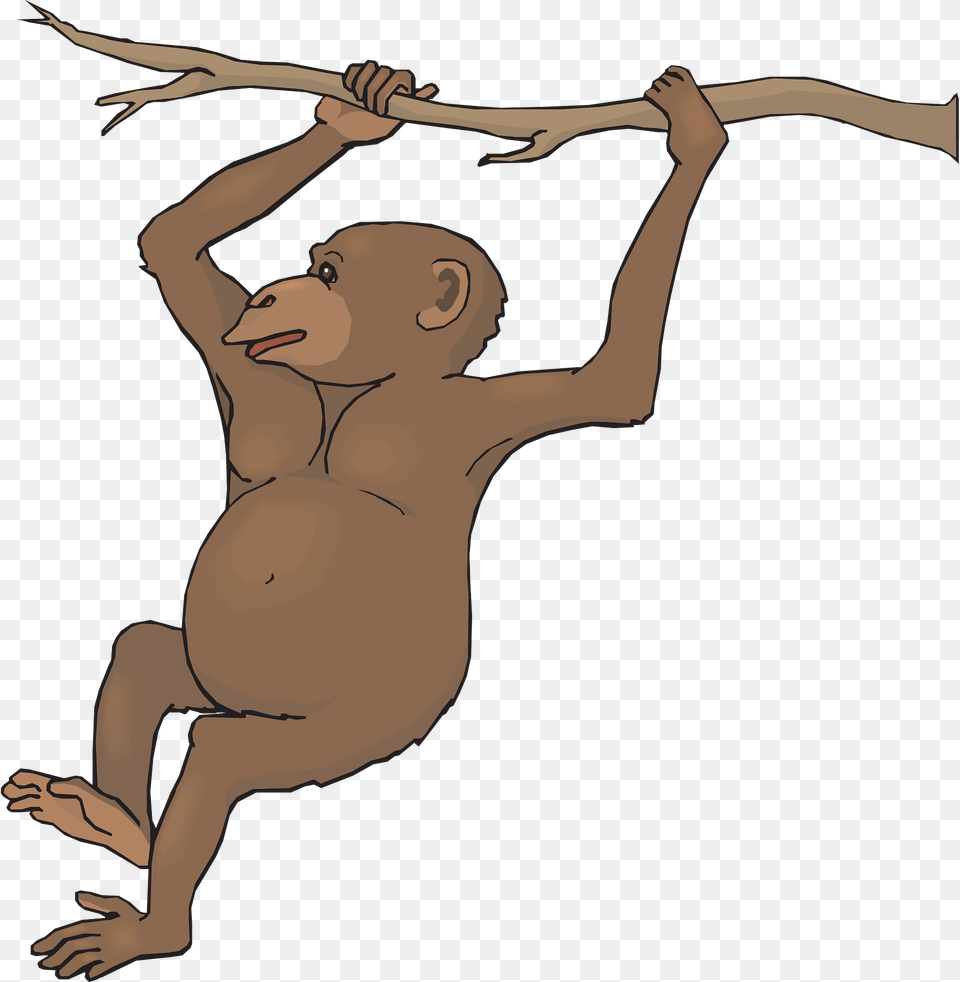 Branch Clipart, Baby, Person, Animal, Wildlife Png