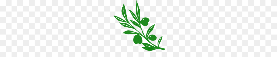 Branch Clipart Branch Icons, Herbal, Leaf, Herbs, Plant Free Png Download