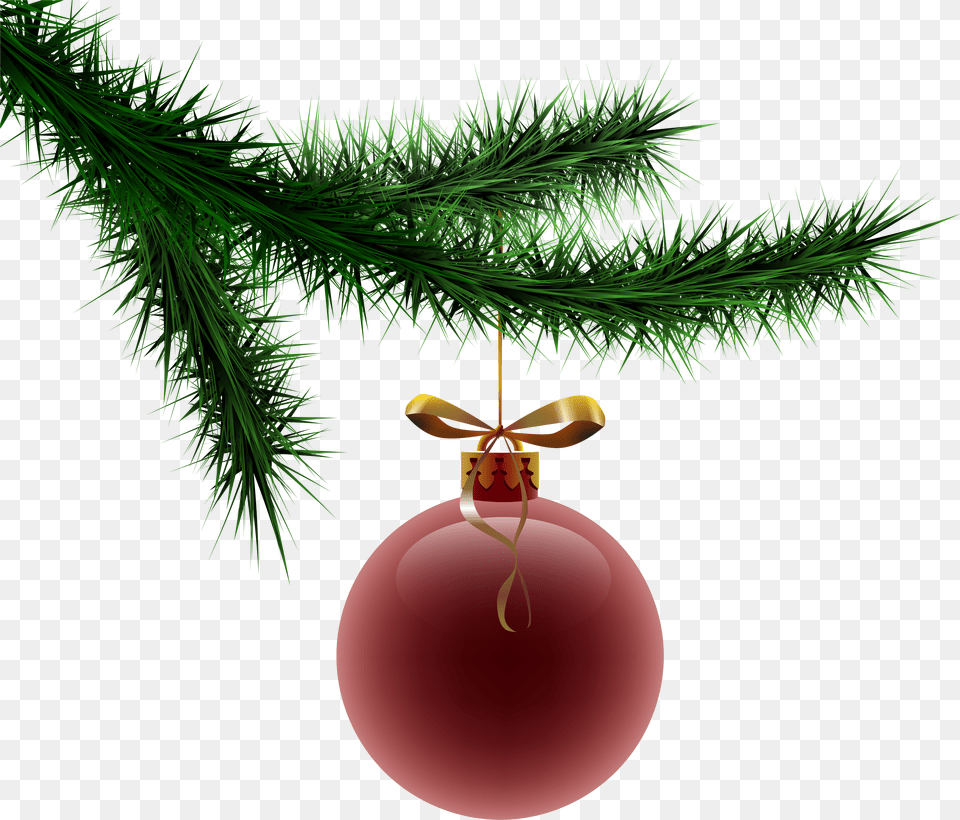 Branch Clipart Christmas Christmas Tree Branch With Ornament Png Image