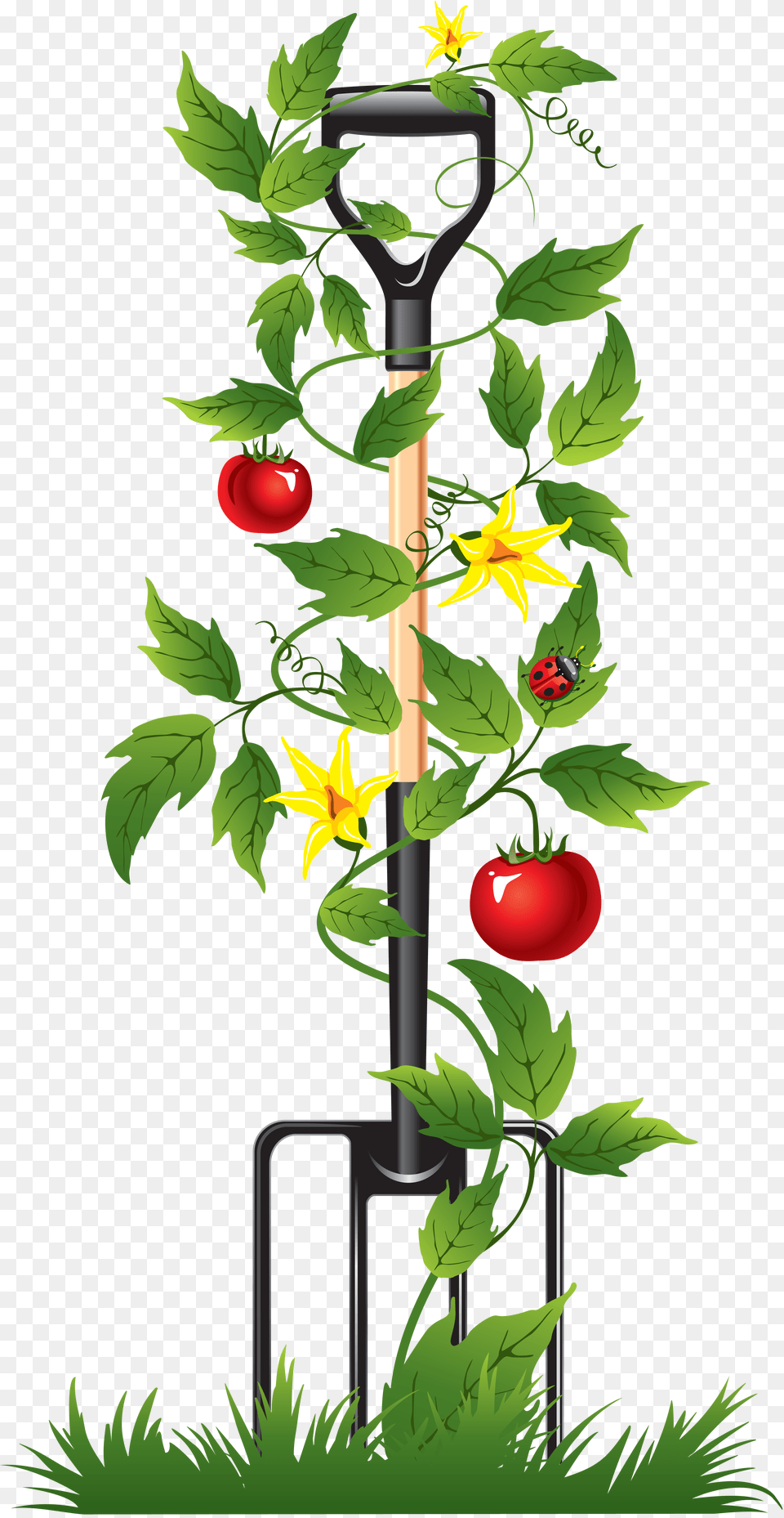 Branch Clipart Irrigation Sprinkler Water Timers Drip System, Plant, Device, Shovel, Tool Png