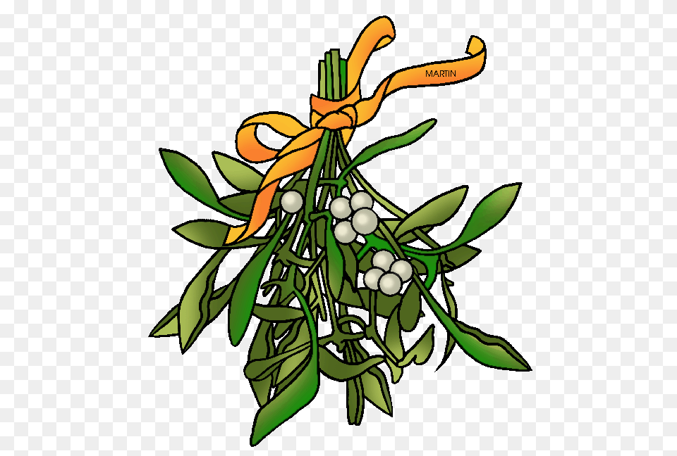 Branch Clipart Mistletoe, Herbal, Herbs, Plant, Leaf Free Transparent Png