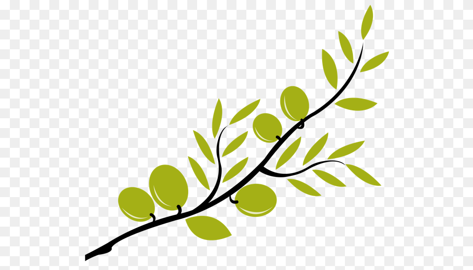 Branch Clipart Olive Branch, Art, Graphics, Green, Leaf Png Image