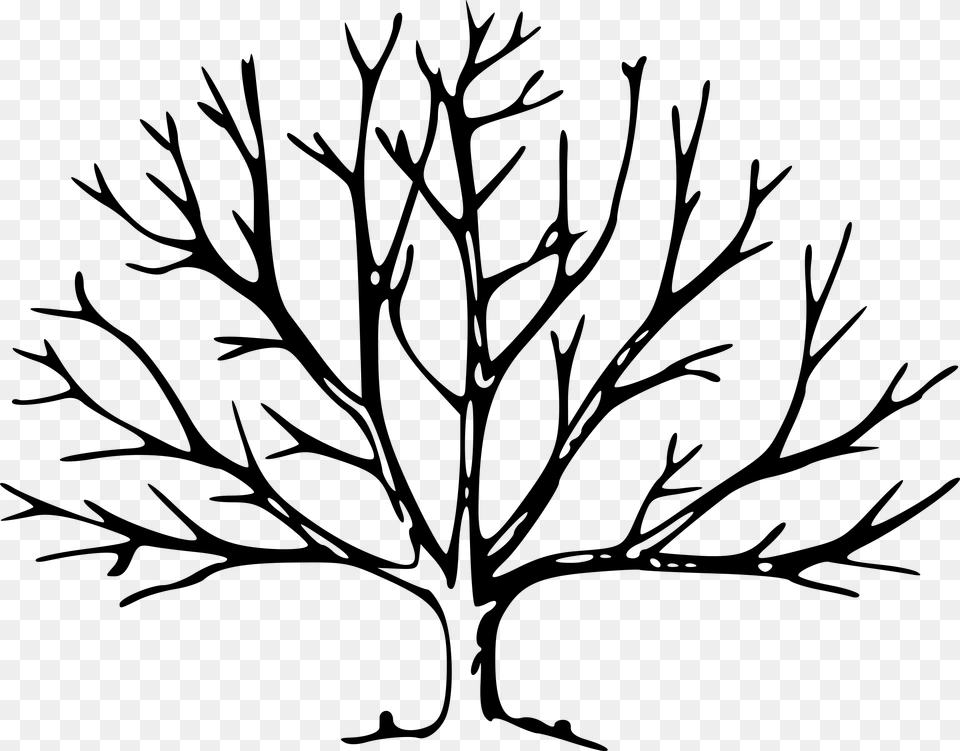 Branch Clipart Outline Trees No Leaves Tree With No Leaves, Gray Free Transparent Png