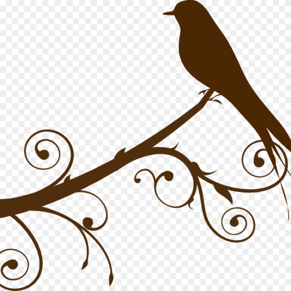 Branch Clker Clipart Black Bird Pictures, Person, Animal Free Transparent Png