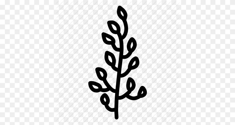 Branch Doodle Floral Flower Leaf Leaves Nature Sketch Tree, Plant, Pattern, Outdoors, Art Free Transparent Png