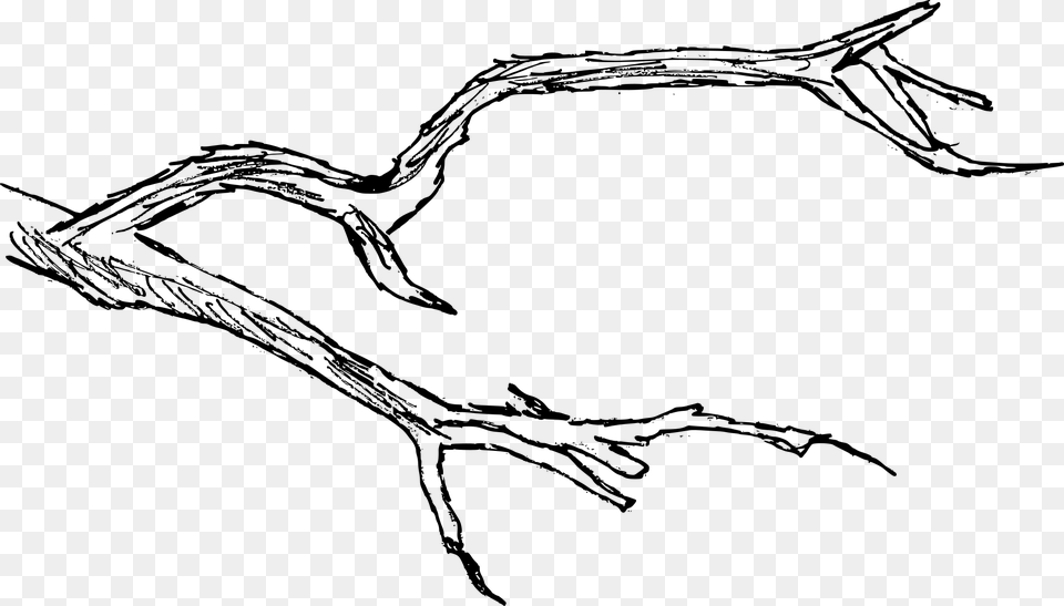 Branch Drawing, Gray Free Png Download