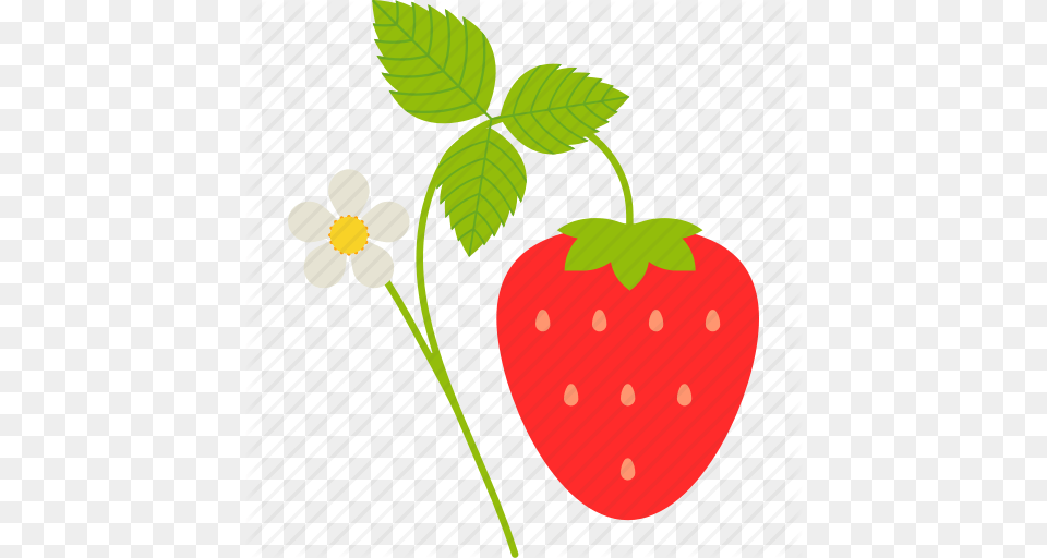 Branch Flower Food Fruit Healthy Leaf Strawberry Icon, Berry, Plant, Produce Free Png