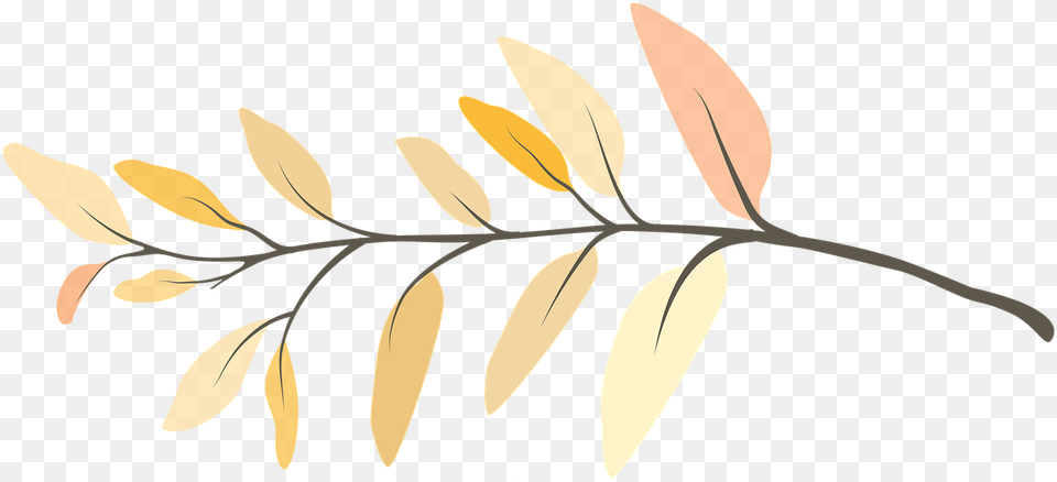 Branch Flower Twig Galho, Tree, Plant, Leaf, Herbs Png Image