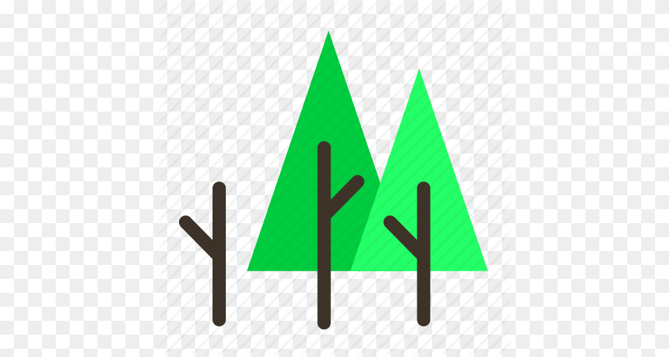 Branch Forestry Forrest Pine Tree Trees Icon, Triangle Free Png Download