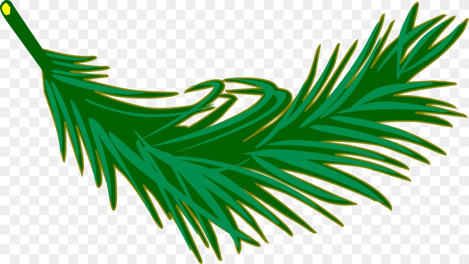 Branch Frond Leaf Leafy Leaves Palm Plant Palm Leaves Clip Art, Conifer, Tree, Fir, Graphics Free Png Download