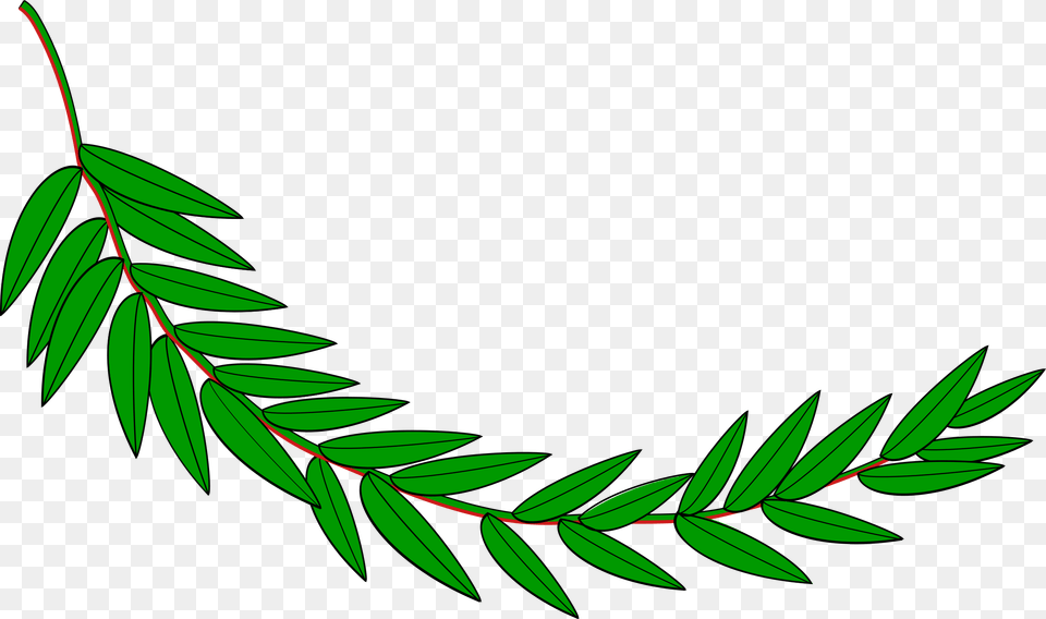 Branch Icons, Green, Plant, Leaf, Vegetation Png