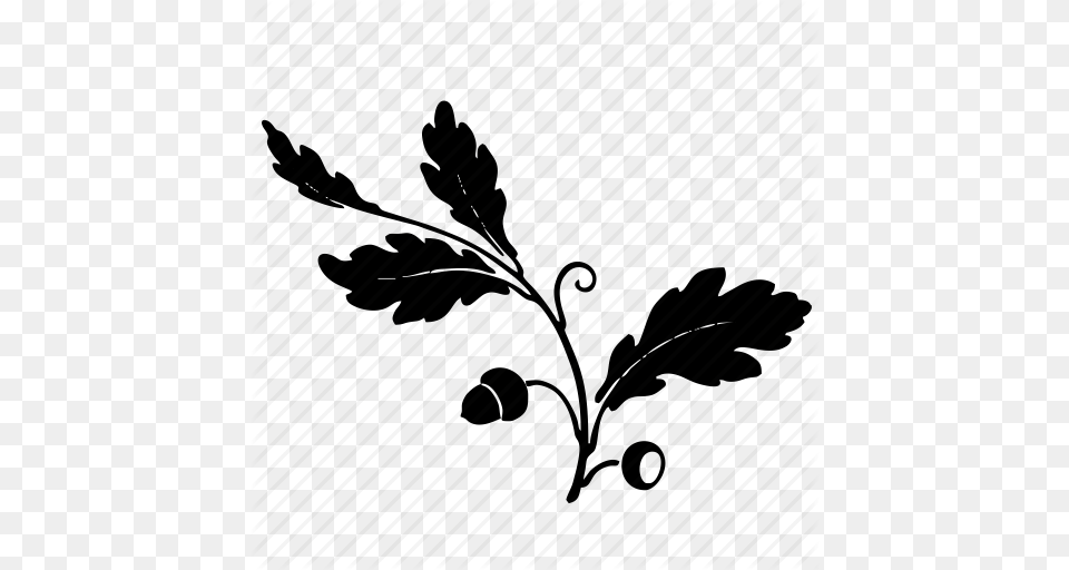 Branch Leaves Nature Oak Tree Icon, Leaf, Plant, Art, Graphics Png Image
