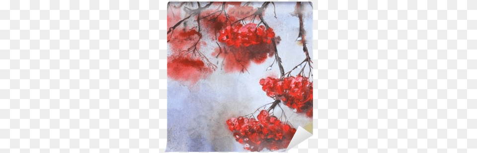 Branch Of Rowan In Rainy Weather Illustration, Art, Flower, Painting, Plant Free Transparent Png