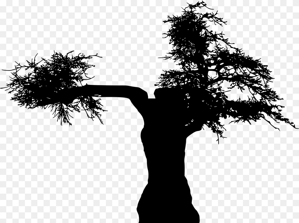 Branch Silhouette Download Tree Computer File Silhouette, Gray Png Image