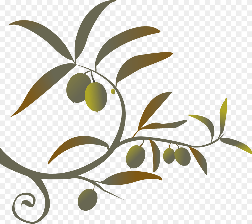 Branch Siren Song Of The Counter Olive Branch Images Clip Art, Floral Design, Graphics, Pattern, Animal Free Transparent Png