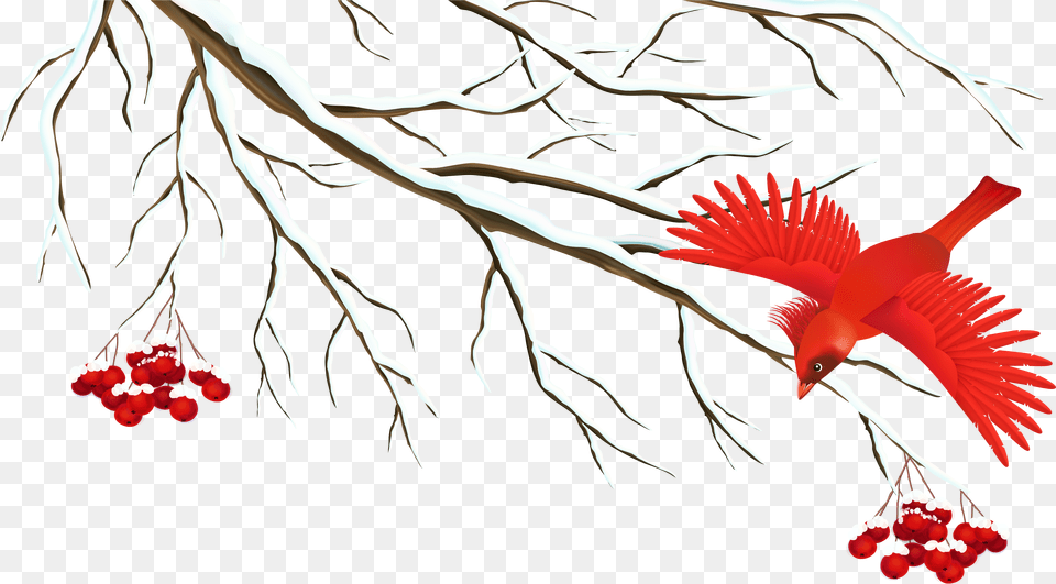 Branch Snow Clip Art Winter Birds Clip Art, Adult, Person, Woman, Female Png