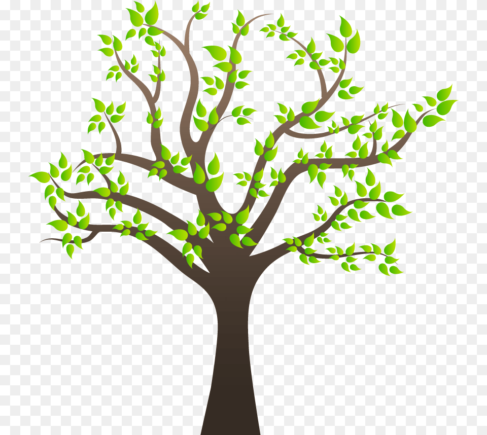 Branch Images Tree With Branches, Plant, Art, Potted Plant, Leaf Free Transparent Png