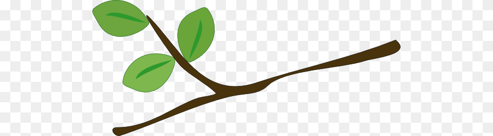 Branch Tree Clipart Explore Pictures, Plant, Leaf, Annonaceae, Herbs Free Png