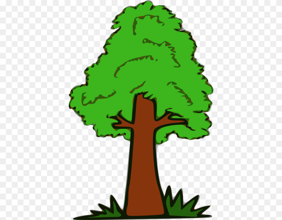 Branch Tree Document Diagram Encapsulated Postscript, Green, Tree Trunk, Plant, Vegetation Png Image