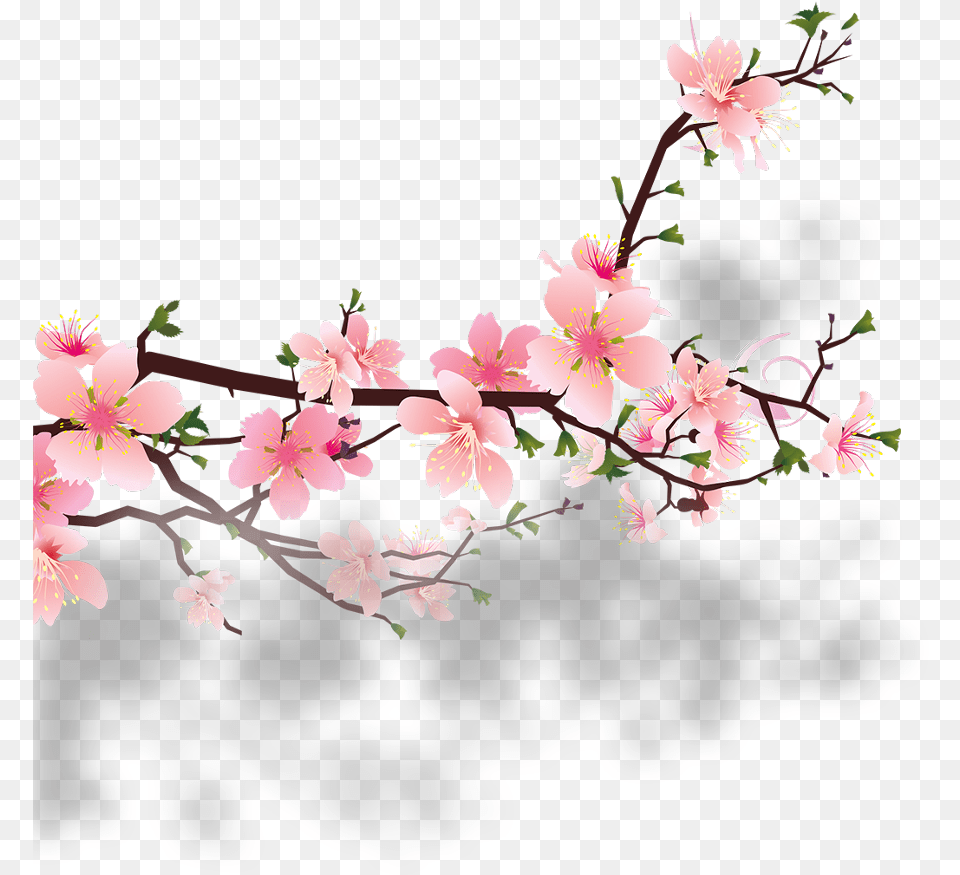 Branch Tree Nature Flower Garden Plant Foreground Peach Blossom, Art, Floral Design, Graphics, Pattern Free Png Download