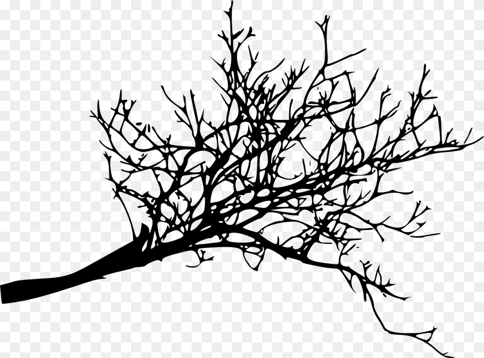 Branch Tree Twig Woody Plant Transparent Tree Branch, Art, Drawing, Silhouette Free Png Download