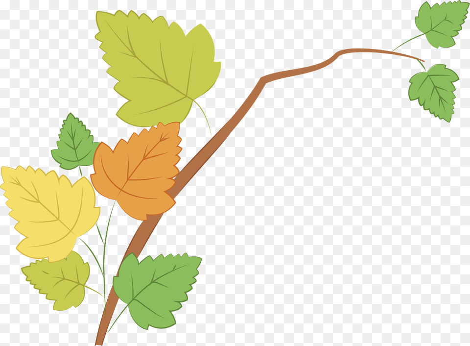 Branch With Autumn Leaves Clipart, Leaf, Plant, Vine, Oak Free Transparent Png