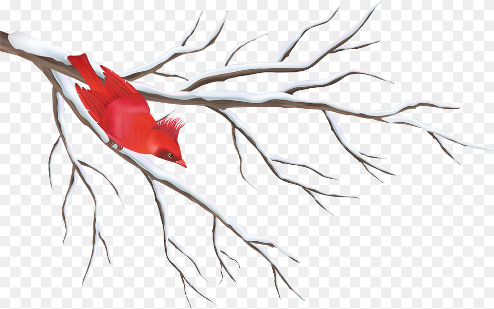 Branch With Bird Clipart Winter Clipart Transparent Background Free Png Download