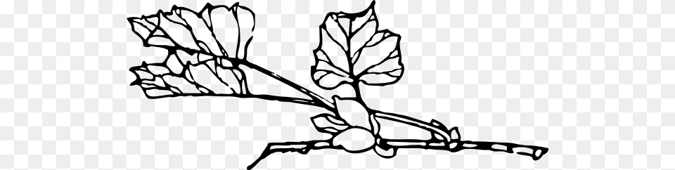 Branch With Flower Clip Art Vector, Leaf, Plant, Food, Produce Free Transparent Png