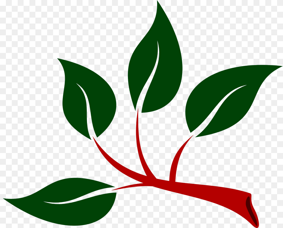 Branch With Green Leaves Clipart, Herbal, Herbs, Leaf, Plant Png