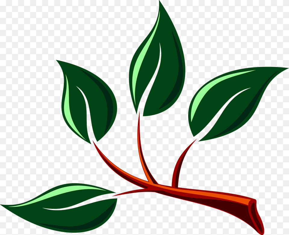 Branch With Green Leaves Clipart, Herbal, Herbs, Leaf, Plant Free Transparent Png